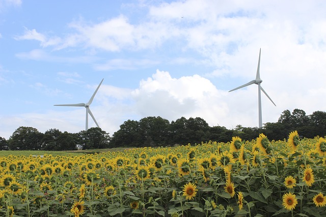 Fukushima, Japan